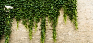 04_18_picture-quality-image_brickwalls 04_18_picture-quality-image_brickwalls