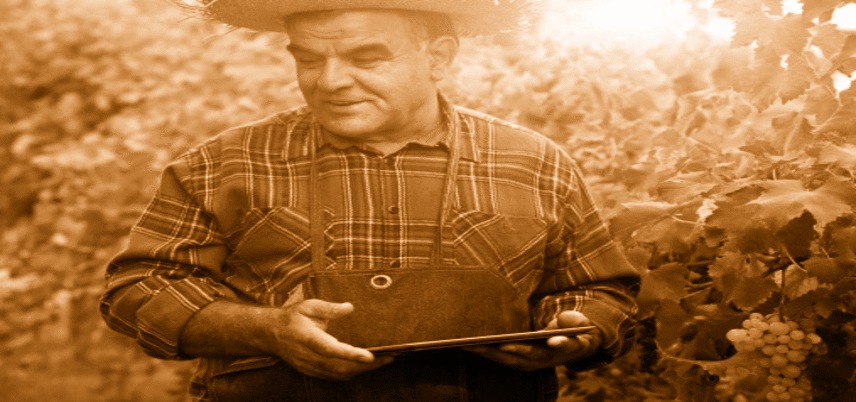 a_vintage_enterprise