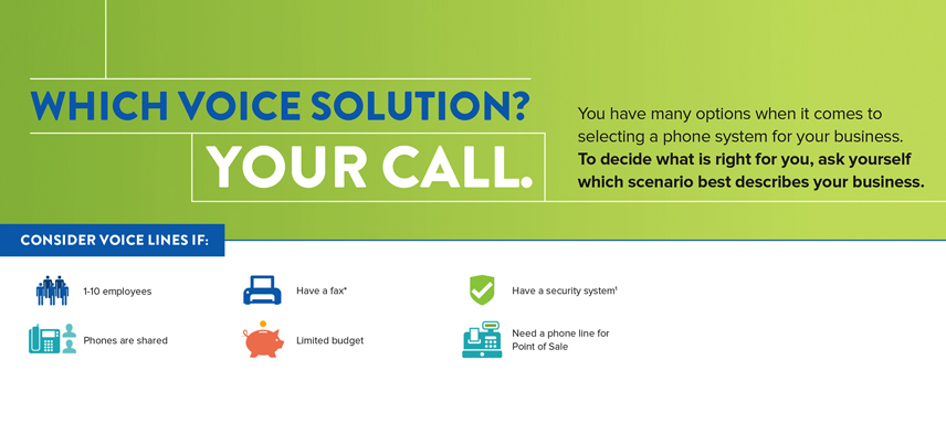 Voice Solution Infographic hero