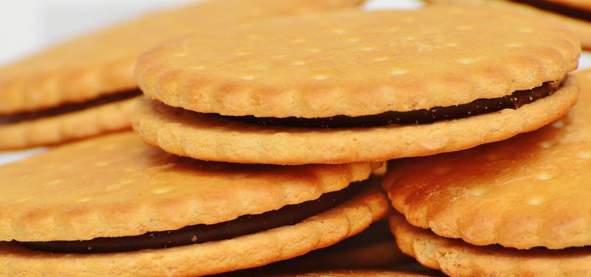 for-girl-scouts-technology-transforms-more-than-cookie-sales