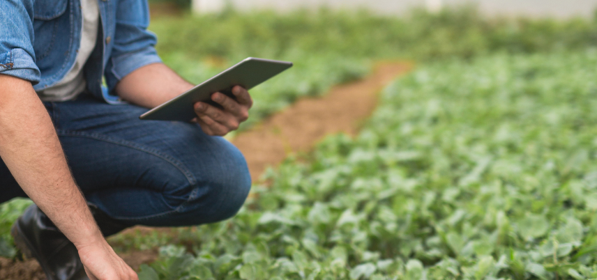 man kneeling in field with tablet